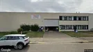 Warehouse for rent, Wijnegem, Antwerp (Province), Vosveld