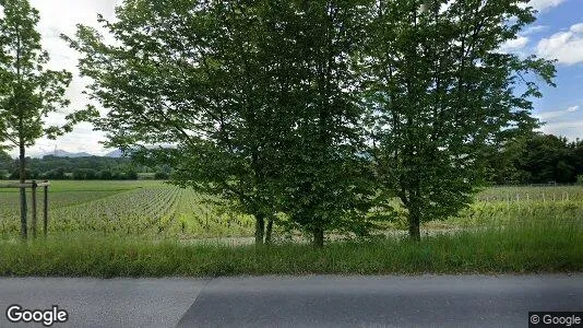 Büros zur Miete i Satigny – Foto von Google Street View