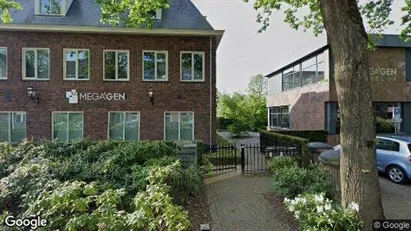 Office spaces for rent in Oisterwijk - Photo from Google Street View